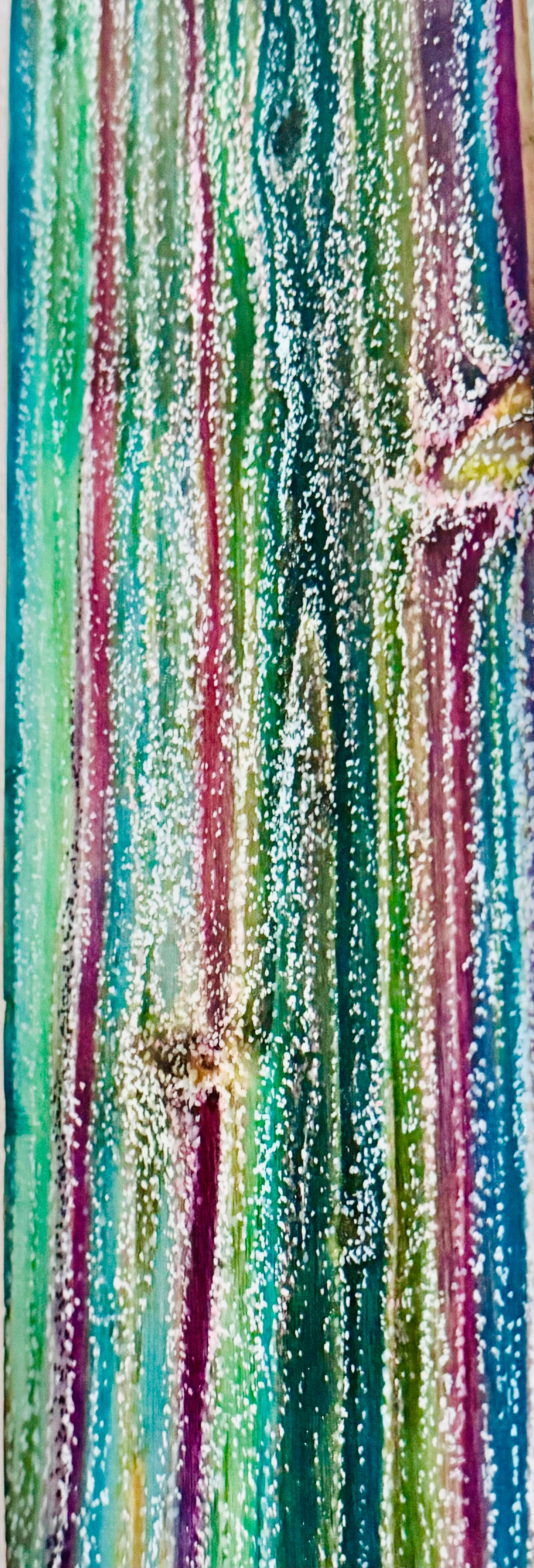 Eucalyptus Bark