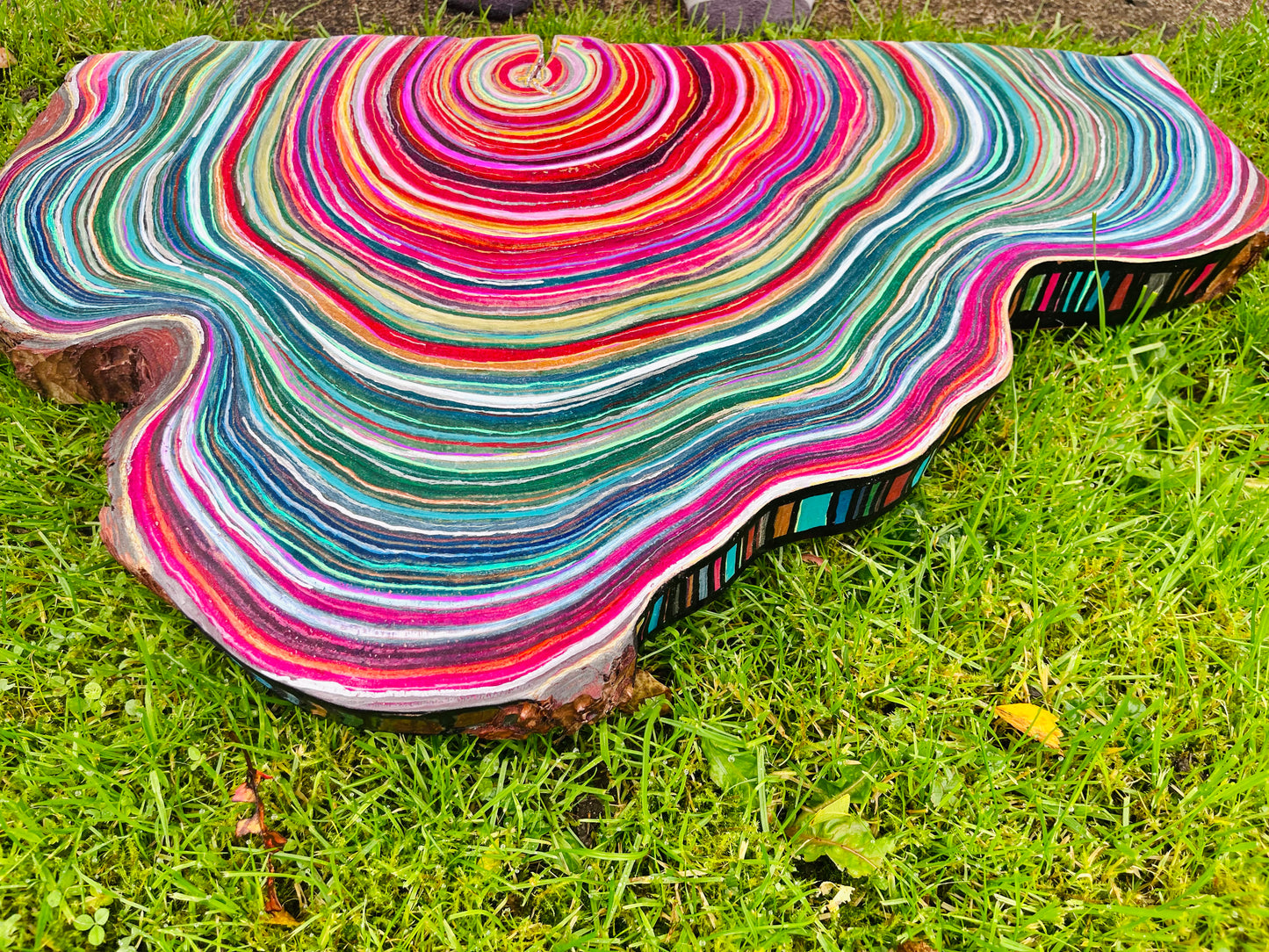 Tree Slice Art - ‘Waves’ by Suzi Kasiri