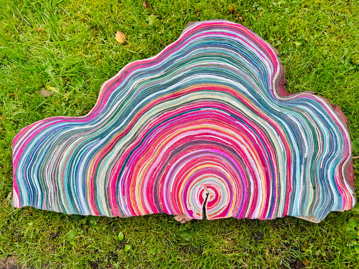 Tree Slice Art - ‘Waves’ by Suzi Kasiri