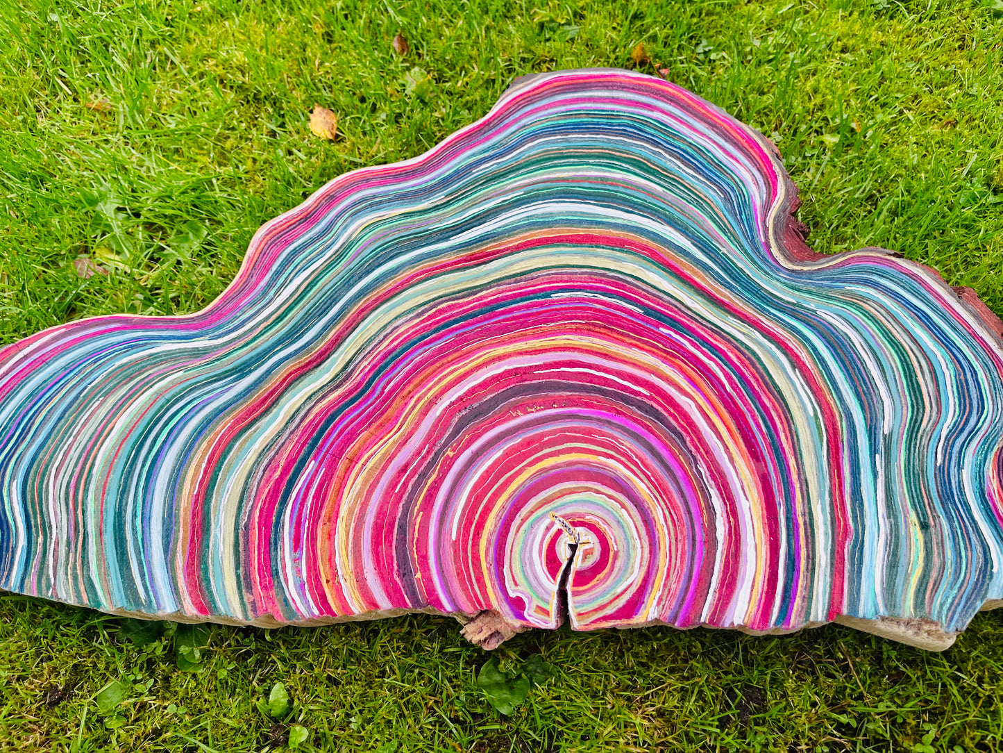 Tree Slice Art - ‘Waves’ by Suzi Kasiri